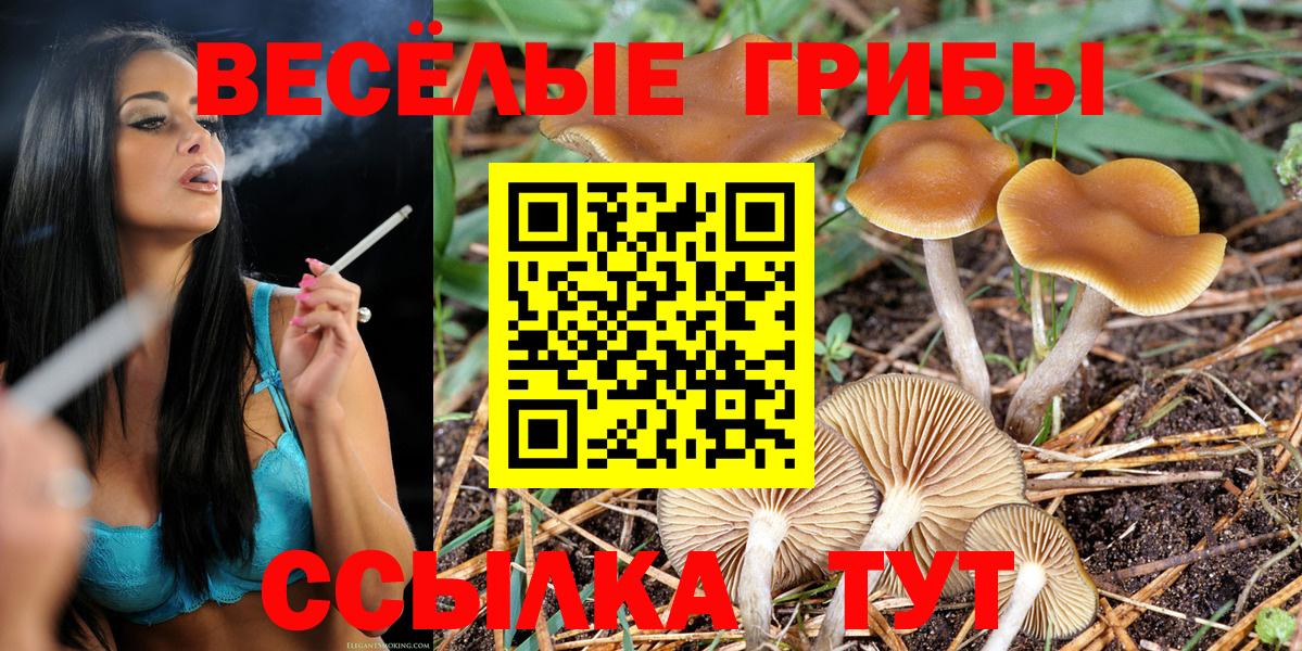 Сибай  Галлюциногенные грибы Magic Shrooms  Вход с VPN 